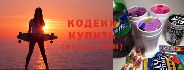 2c-b Бородино