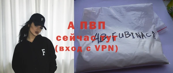 2c-b Бородино