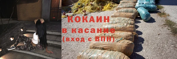 2c-b Бородино