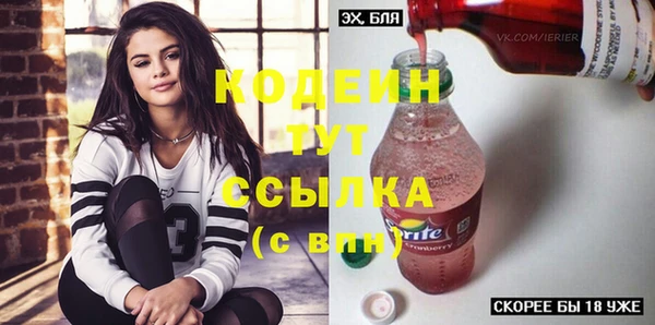 2c-b Бородино